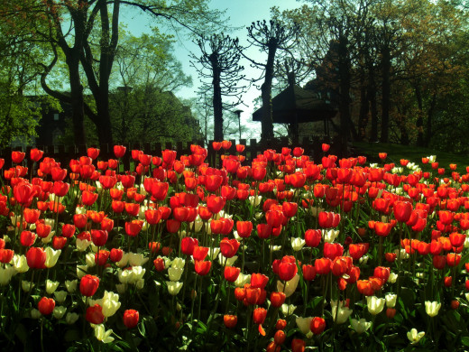 615397 (a): :2400x1800